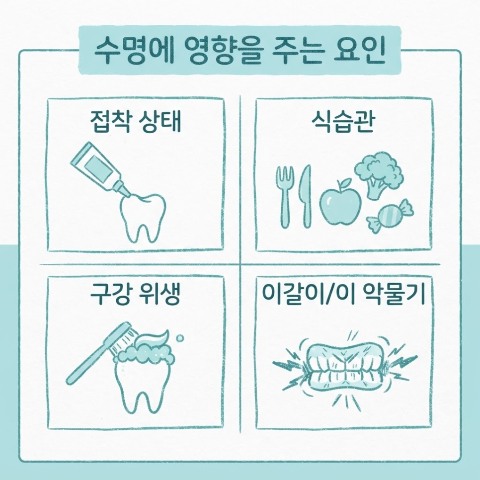 크라운 수명 관련 이미지 7