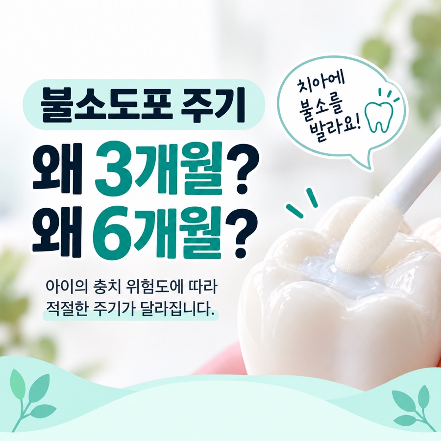 불소도포 주기
