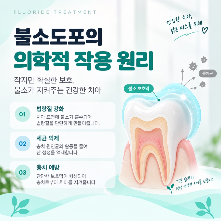 불소도포 주기 관련 이미지 6