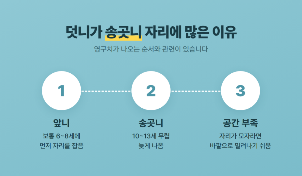 청량리 덧니교정 관련 이미지 3
